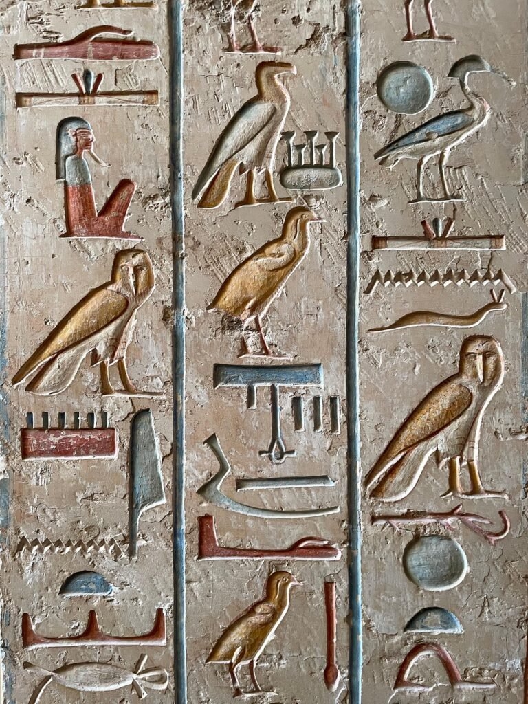 hieroglyph, nature, wall, travel, bird, history, ancient, architecture, egypt, cairo, sphinx, pyramids, giza